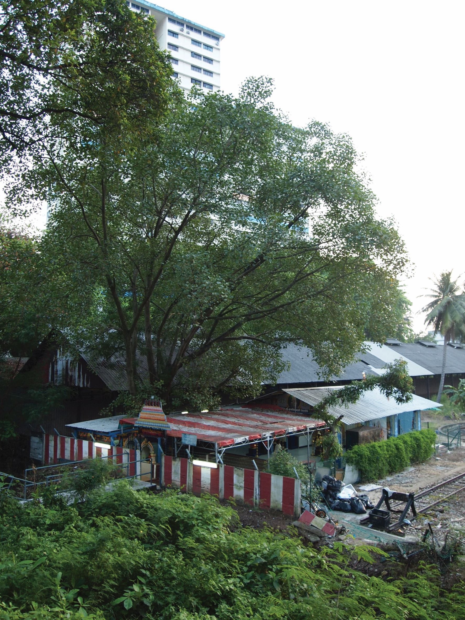 Sri Muneeswaran Temple at Blair Road, which was constructed by devotees who worked at the station. Photo from the author’s collection.